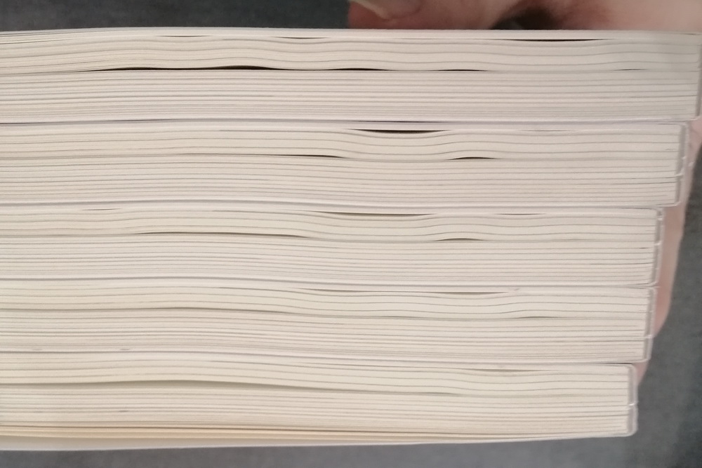 BECOMING A BUTTERFLY การเดินทางของผีเสื้อหลากสี (**มีตำหนิ** โปรดอ่านรายละเอียด **สำคัญมาก**)