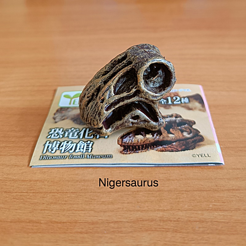 กาชาปองโมเดลซากฟอสซิล Dinosaur Fossil Museum