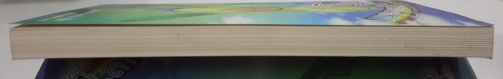 เด็กชายพิทักษ์โลก