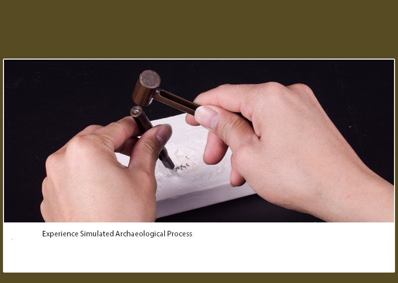 ของเล่นวิทยาศาสตร์ ชุดขุดฟอสซิลไดโนเสาร์ ชิ้นส่วนตัวต่อ 3D Skeleton Excuvation Kits