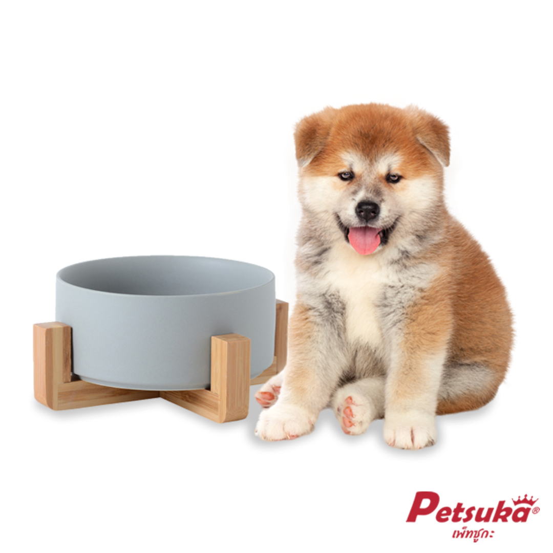ชามเซรามิคสัตว์เลี้ยง Petsuka พร้อมฐานรองสไตล์ญี่ปุ่น สำหรับสุนัขและแมว สีเทา 850 ml