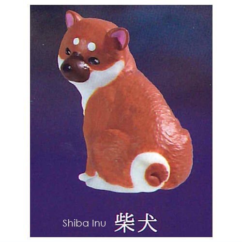 กาชาปองฟิกเกอร์น้องหมาหันมามอง