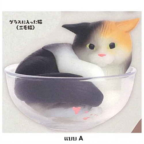 กาชาปองน้องแมว Cat is Liquid