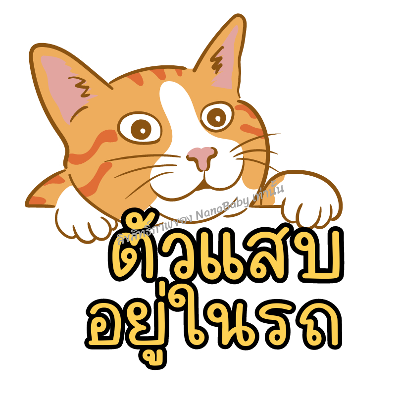 สติ๊กเกอร์ Cat in Car ในรถมีแมว PP Laser เคลือบผิว กันน้ำ กันแดด