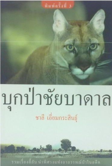 บุกป่าชัยบาดาล