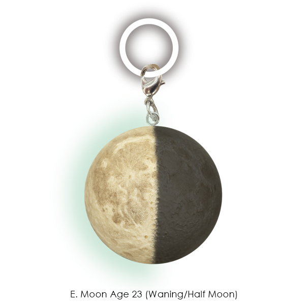 กาชาปองมาสคอทดวงจันทร์ STC Moon Phase Glow-in-the-Dark Sign Mascot