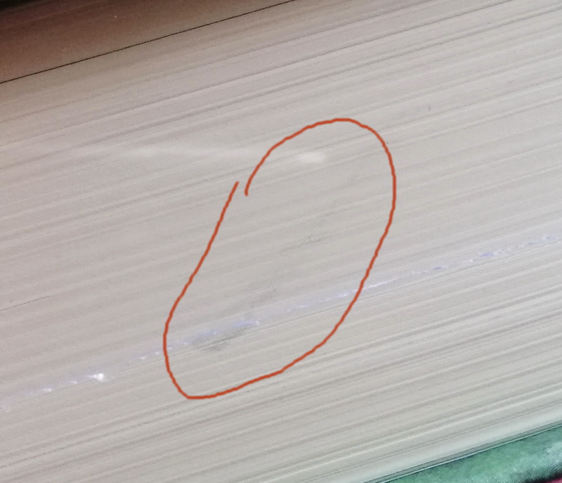 ยุทธการทุ่งวอเตอร์ชิป (ปกแข็ง) (มีตำหนิ โปรดอ่านรายละเอียดก่อนสั่ง) (Watership Down)