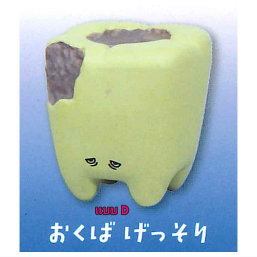 กาชาปองโมเดลฟัน Good Evening Teeth