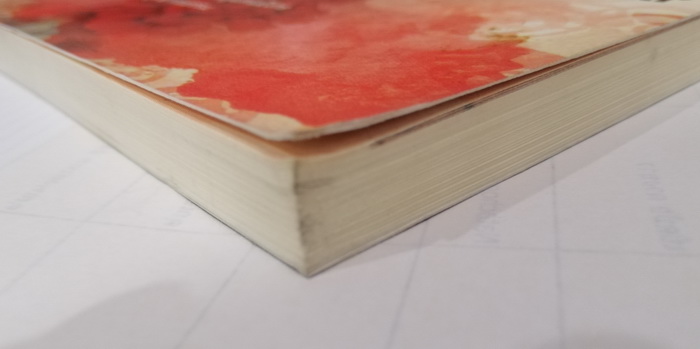 แกะรอยคัมภีร์ฉบับคนกันเอง เล่ม 1 - 2 (มีตำหนิ โปรดอ่านรายละเอียด)