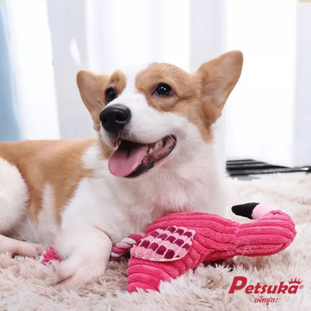 ตุ๊กตาสุนัข Petsuka ตุ๊กตานกฟลามิงโก้มีเสียง ตุ๊กตาขัดฟันสัตว์เลี้ยง