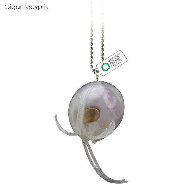 กาชาปอง NTC Deep Sea Creatures Magnet & Ball Chain 2