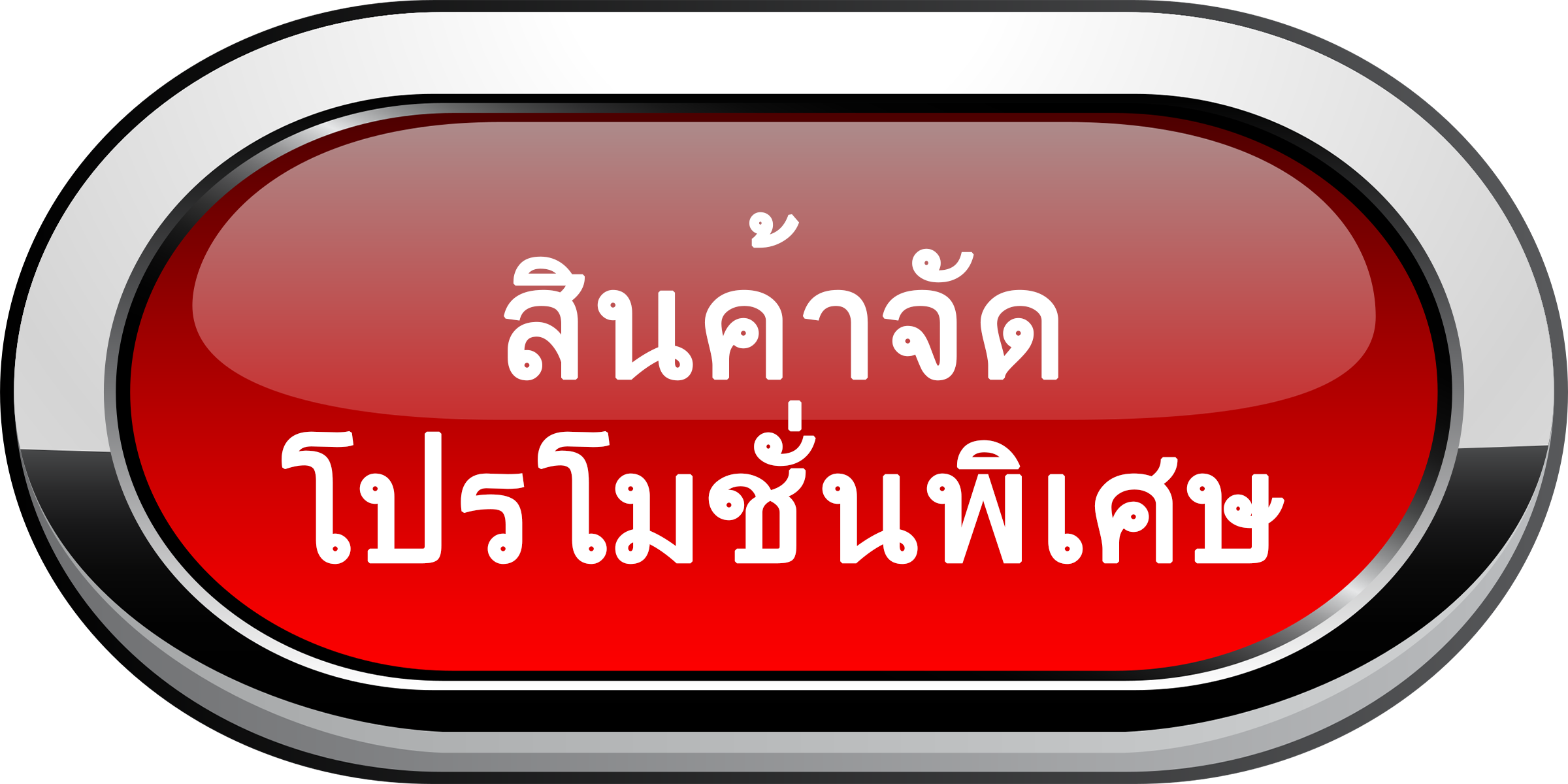 สินค้าจัดโปรโมชั่น