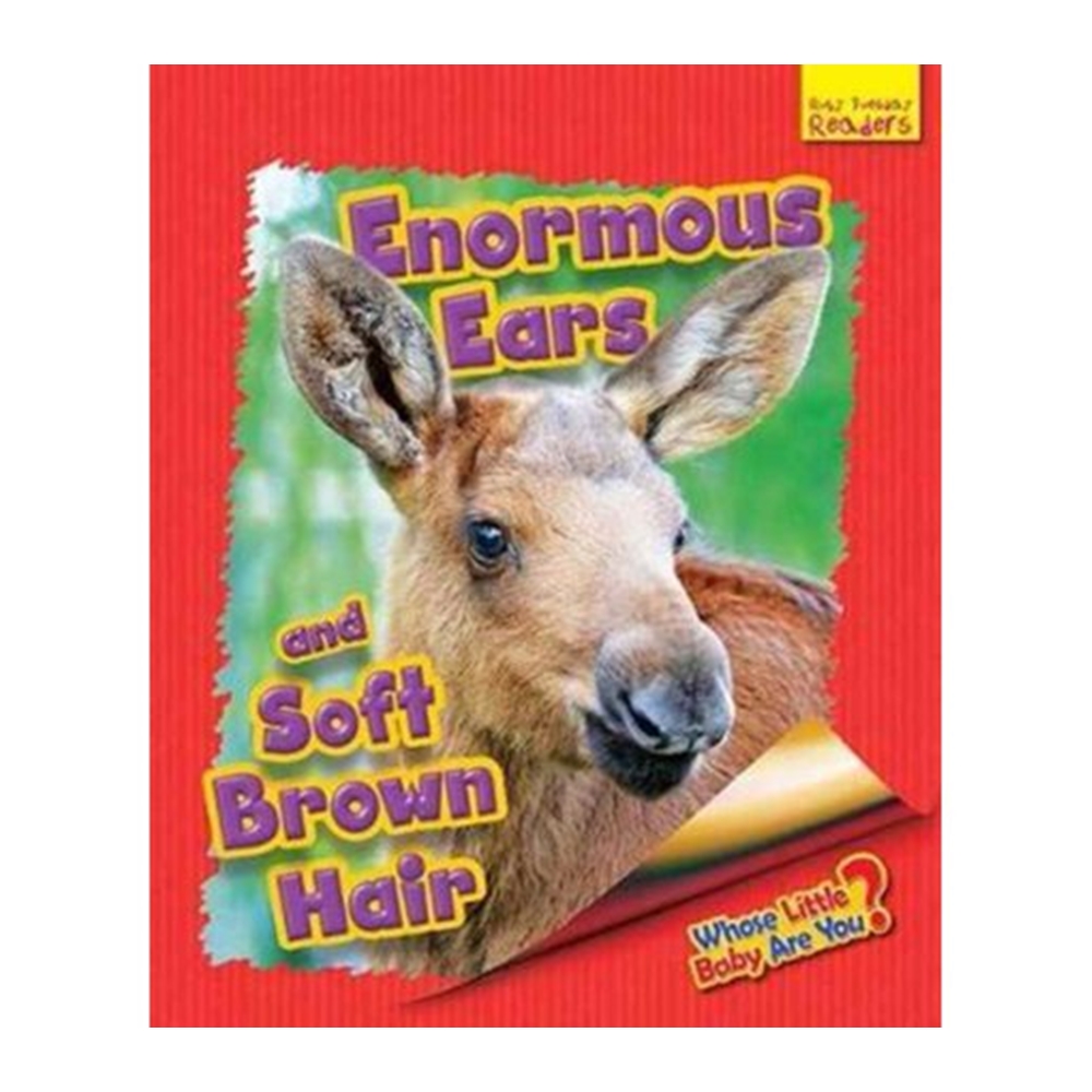 Ellen Lawrence : Whose Little Baby Are You? 6 Mini Books Collection : หนังสือความรู้เกี่ยวกับลูกสัตว์สำหรับ Little Reader : Book Band Blue