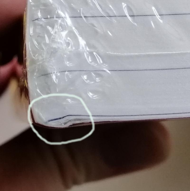 ล่าสายลับ (มีตำหนิ โปรดอ่านรายละเอียดก่อนสั่ง) (The Other Woman) (Gabriel Allon Series #18)