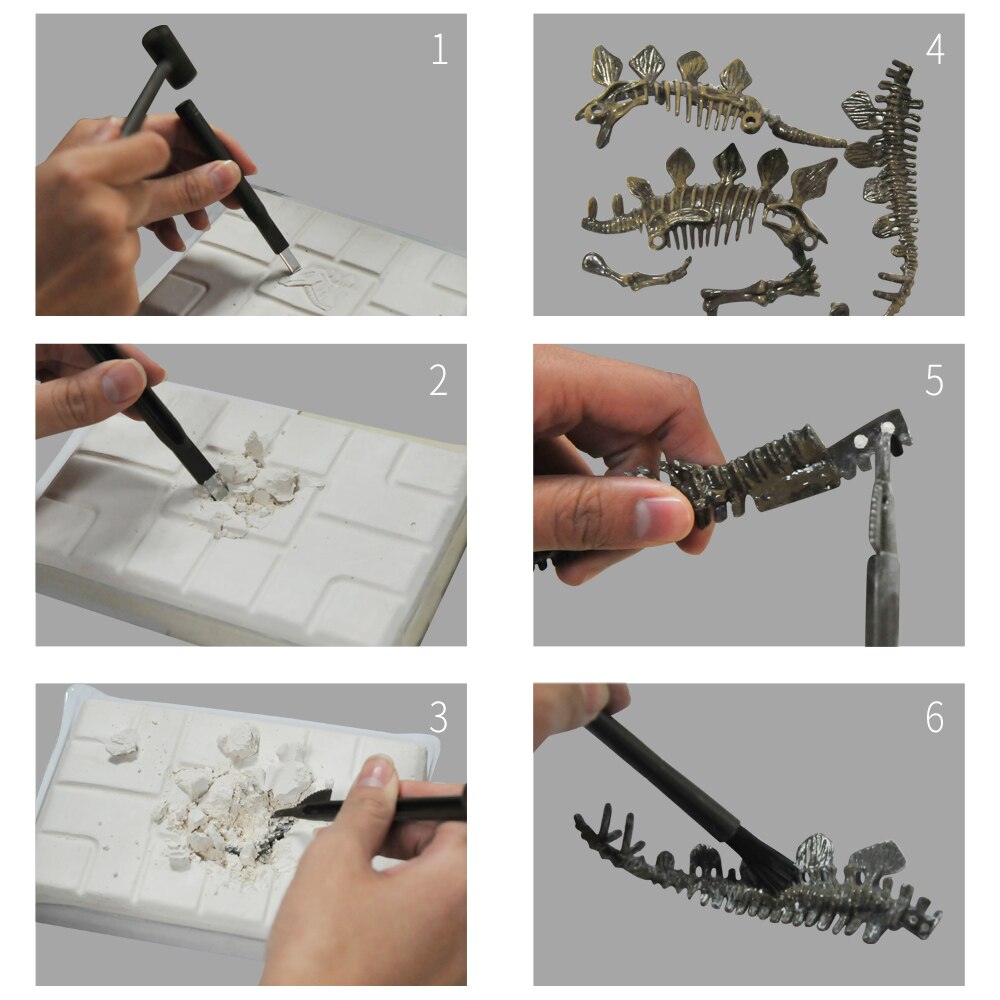 ของเล่นวิทยาศาสตร์ ชุดขุดฟอสซิลไดโนเสาร์ ชิ้นส่วนตัวต่อ 3D Skeleton Excuvation Kits