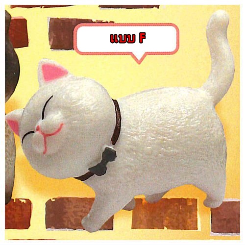 กาชาปองมาสคอทแมว KoTchi Minyaide