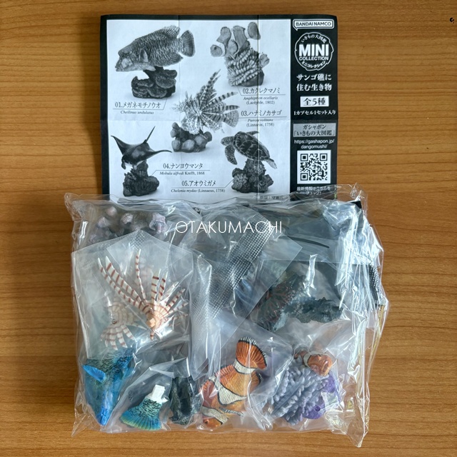 กาชาปองฟิกเกอร์สัตว์ทะเล Mini Collection of the Great Creature Encyclopedia: Coral Reef Creatures