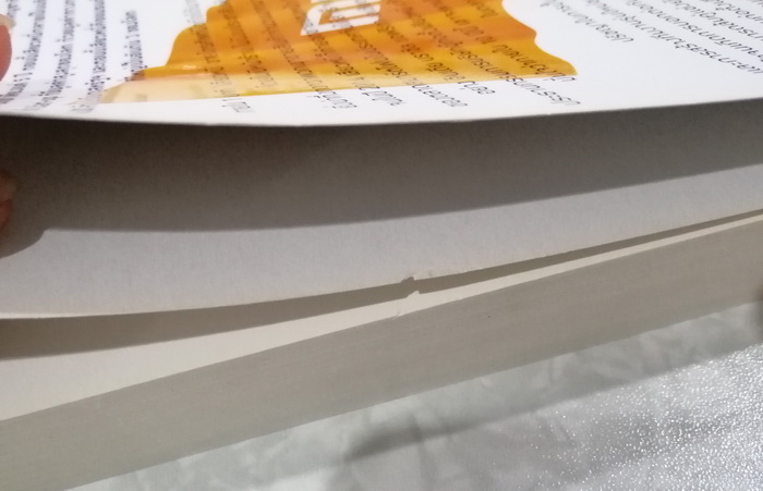 Xiaomi กลยุทธ์ปั้นแบรนด์หมื่นล้านแบบเสียวหมี่ (มีตำหนิ โปรดอ่านรายละเอียด)