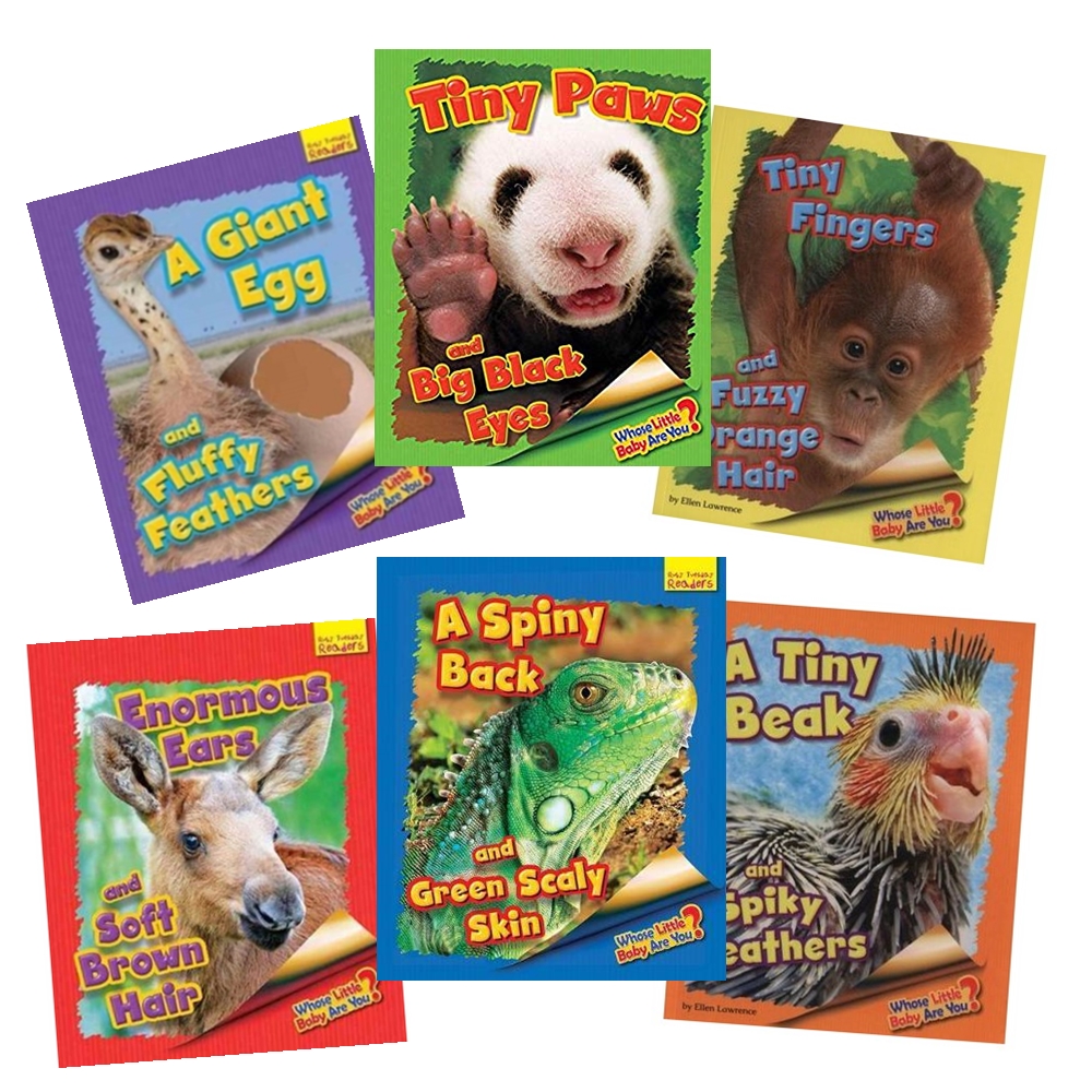 Ellen Lawrence : Whose Little Baby Are You? 6 Mini Books Collection : หนังสือความรู้เกี่ยวกับลูกสัตว์สำหรับ Little Reader : Book Band Blue