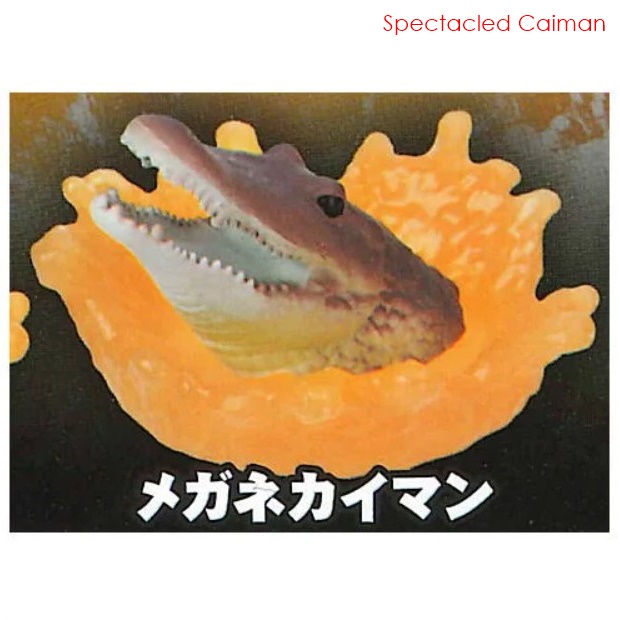 กาชาปองฟิกเกอร์ส่วนหัวจระเข้ The Scariest! Dangerous Creature Figure ~Crocodile~