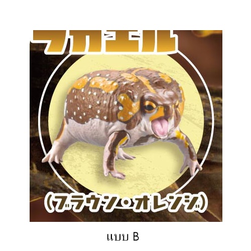 กาชาปองฟิกเกอร์กบ สเกล 1/1 Common Rain Frog & Waxy Monkey Tree Frog 2