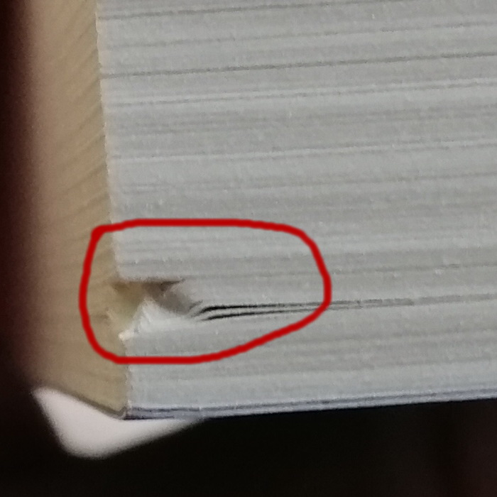 Flow โฟลว์ ภาวะลื่นไหล (มีตำหนิ โปรดอ่านรายละเอียดก่อนสั่งทุกครั้ง) (มิฮาย ชิกเซนต์มิฮายยี)