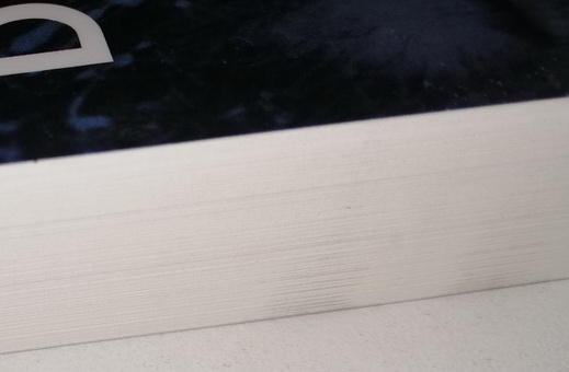 ต้องรอด (The Revenant) (ฉบับนิยาย) (มีตำหนิ โปรดอ่านรายละเอียด)