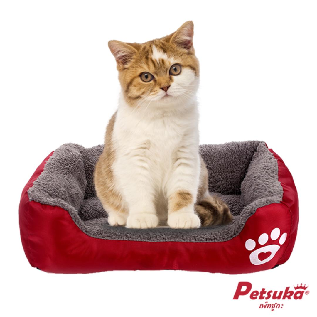 ที่นอนสัตว์เลี้ยง Petsuka รูปทรงสี่เหลี่ยมหนานุ่ม สีแดง