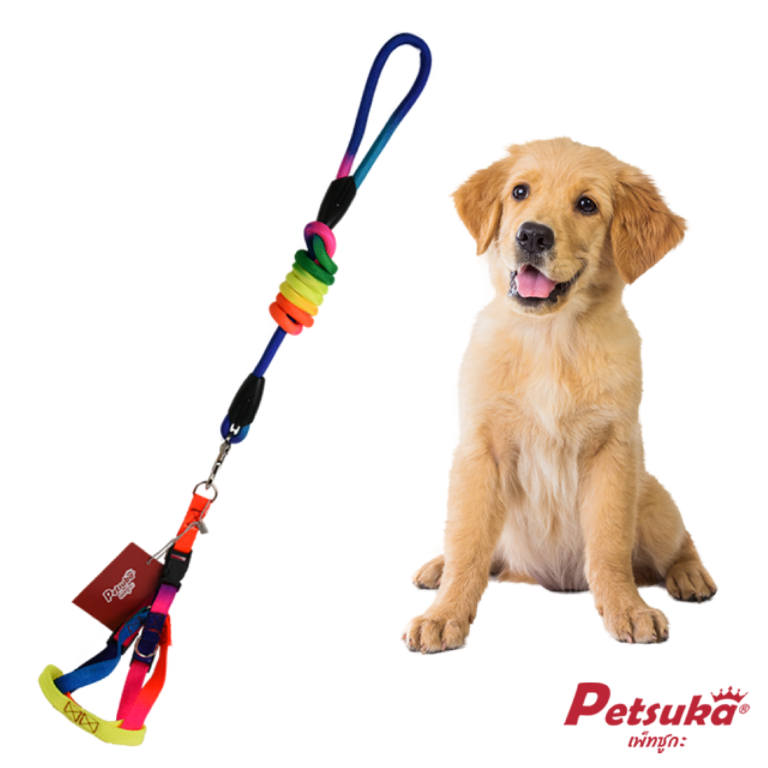 สายจูงสัตว์เลี้ยงพร้อมที่รัดอก Petsuka สีรุ้ง ขนาด L