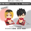 [เปิดจอง] Lookup Haikyu！！ Kenma Kozume／Tetsuro Kuroo Uniform ver. ได้เบาะ ราคา2200-2300บาท