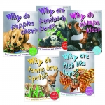 Miles Kelly : First Questions and Answers, Animals : 5 Books Collection เชตหนังสือคำถามแรกและคำตอบ เกี่ยวกับสัตว์ 5 เล่ม