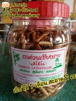 หนอนรถด่วนทอด หนอนไม้ไผ่ทอด 200 กรัม