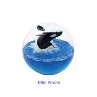 Killer Whale