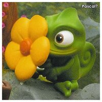 Pascal?