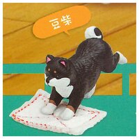 Shiba