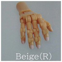 Beige (R)