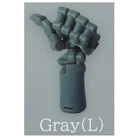Gray (L)