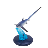 Grinning Shark