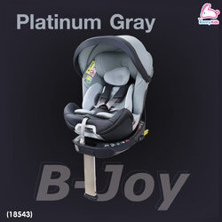 Platinum gray
