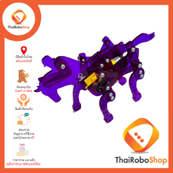 โครงหุ่นม้า