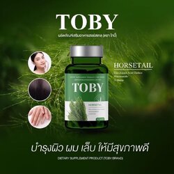 โทบี้ หางม้า TOBY HORSETAIL