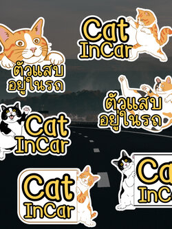 สติ๊กเกอร์ Cat in Car ในรถมีแมว ใหม่ล่าสุด 2023