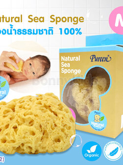 (13132) Pureen (เพียวรีน) Natural Sea Sponge ฟองน้ำธรรมชาติแท้ 100% ไซส์ M
