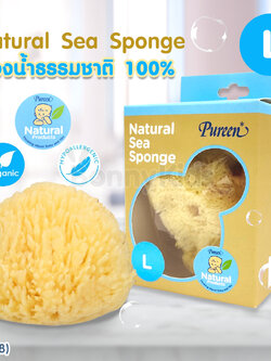 (13118) Pureen (เพียวรีน) Natural Sea Sponge ฟองน้ำธรรมชาติแท้ 100% ไซส์ L