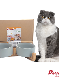 ชามเซรามิคสัตว์เลี้ยง Petsuka พร้อมฐานรองสไตล์ญี่ปุ่น สำหรับสุนัขและแมว สีเทา แบบคู่ 850 ml