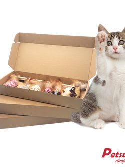 ชุดของเล่นแมว Petsuka แพ็ค 7 ชิ้น