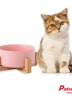 ชามเซรามิคสัตว์เลี้ยง Petsuka พร้อมฐานรองสไตล์ญี่ปุ่น สำหรับสุนัขและแมว สีชมพู 850 ml
