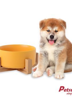 ชามเซรามิคสัตว์เลี้ยง Petsuka พร้อมฐานรองสไตล์ญี่ปุ่น สำหรับสุนัขและแมว สีเหลือง 850 ml