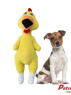 ตุ๊กตาไก่โอ๊ก Petsuka ของเล่นขัดฟันสัตว์เลี้ยง มีเสียงร้อง สีเหลือง