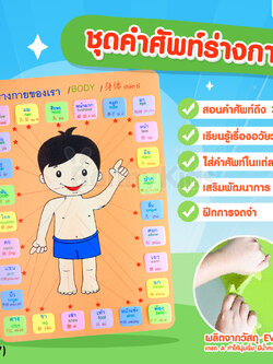 (16727) ASTA (แอสต้า) ชุดคำศัพท์ร่างกาย บล็อกต่อคำศัพท์ ภาษาอังกฤษ ภาษาจีน ภาษาไทย 26 คำ (คละสี)